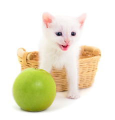 Wall Mural - Kitty sitting in basket and apple.