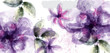 Violet flowers watercolor card Vector. Purple and delicate blooming decor. Invitation card, wedding ceremony, postcard, Women day greeting. Flow colorful drops. Beautiful pastel colors