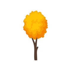 Wall Mural - Small autumn tree with yellow-orange leaves. Young forest plant. Nature theme. Flat vector icon