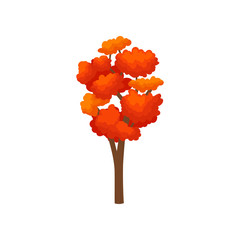 Wall Mural - Tall autumn tree with bright orange leaves. Forest plant. Natural landscape element for mobile game. Flat vector icon