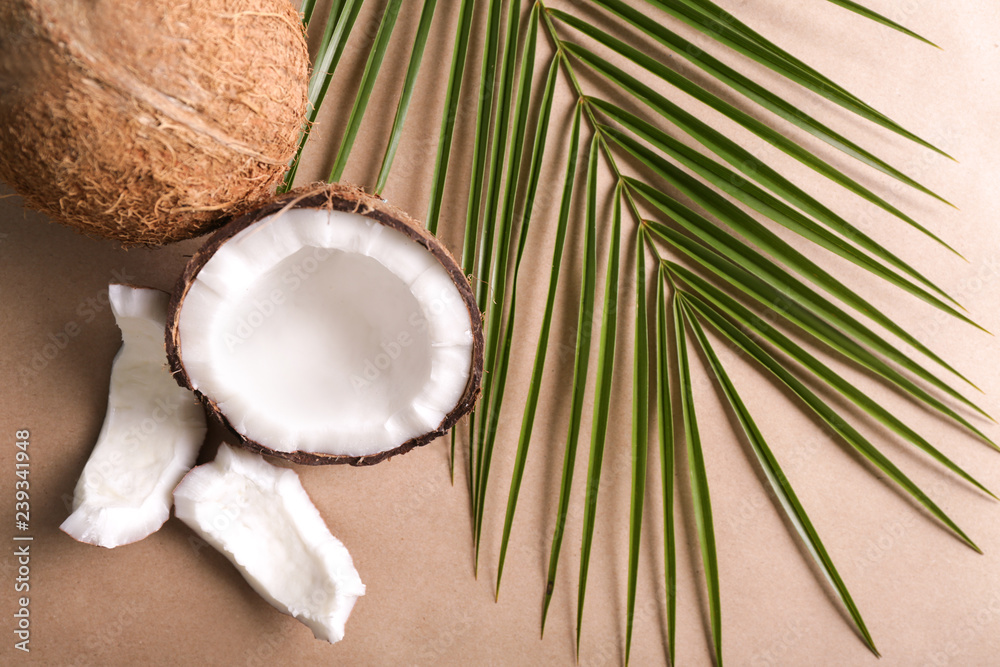 Ripe coconuts and palm leaf on color background