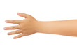 © poravute - Human hand in reach out one's hand and showing 5 fingers gesture isolate on white background with clipping path, Low contrast for retouch or graphic design