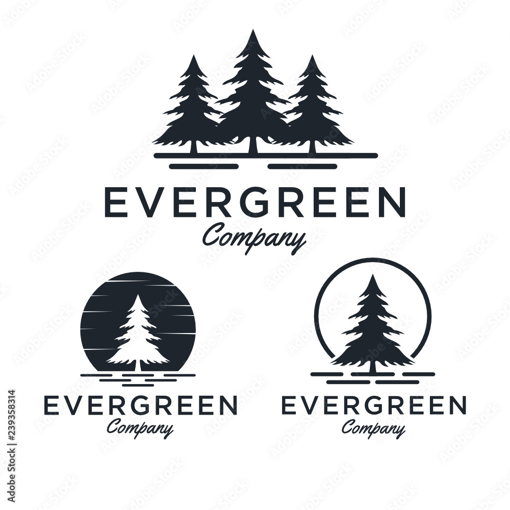 Evergreen / Pine tree Logo design inspiration - Vector - obrazy, fototapety, plakaty 