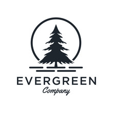 Evergreen / Pine Tree Logo Design Inspiration - Vector