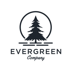 Poster - Evergreen / Pine tree Logo design inspiration - Vector