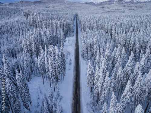 Zdjęcie XXL Powietrzny punkt widzenia droga po środku lasu zakrywającego w śniegu