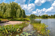Summer landscape of Chicago Botanic Garden, Glencoe, Illinois, USA
