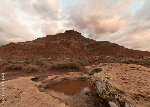 Fotografie, Obraz Early morning light makes the clouds glow softly after a winter rain has left a pool of water on top of a lichen covered boulder below Gooseberry mesa in Southern Utah
