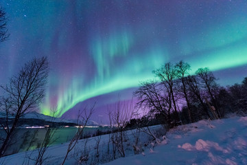 The polar arctic Northern lights aurora borealis sky star in Scandinavia Norway Tromso in the farm winter forest  snow mountains 