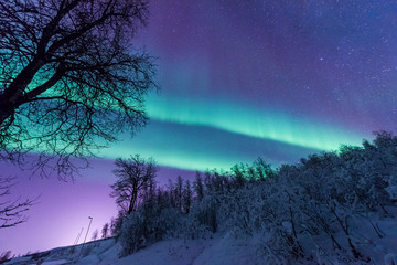 The polar arctic Northern lights aurora borealis sky star in Scandinavia Norway Tromso in the farm winter forest  snow mountains 