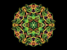 Green, Yellow And Pink Abstract Flame Mandala Flower, Ornamental Round Pattern On Black Background. Yoga Theme.