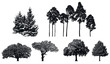 © mivod - Trees - black vector silhouette isolated on white background.   Set of realistic detailed graphic illustration of natural forest plant.