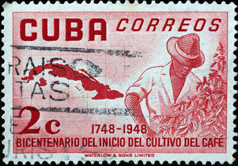 Poster - Man growing coffee plant on vintage cuban postage stamp