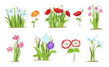 Set Of Wild Forest And Garden Flowers. Spring Concept. Flat Vector Flower Illustration Isolate On A White Background.