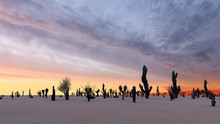 Sunset In The Desert With Cacti 3d Rendering