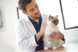 © goodluz - Handsome vet looking at beautiful cat in vetinarian clinic