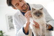 © goodluz - Handsome vet looking at beautiful cat in vetinarian clinic
