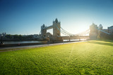 grass and tower bridge in sunny morning London, UK