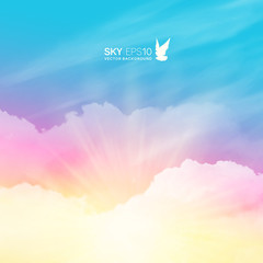 Wall Mural - square vector background with realistic pink-blue sky and cumulus clouds. the image can be used to d