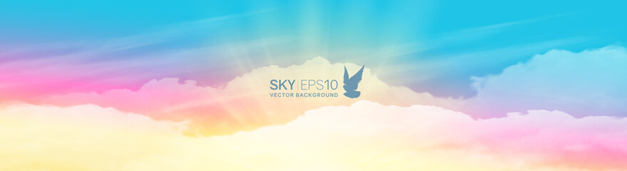 Wall Mural - narrow horizontal vector banner with realistic pink-blue sky and cumulus clouds. the image can be us