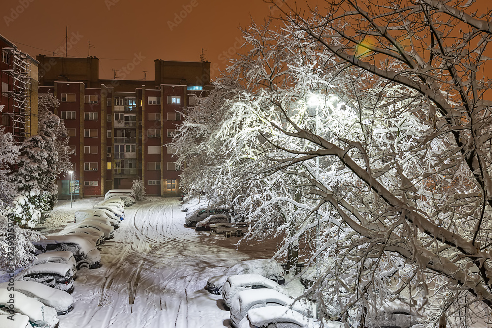 Novi-Sad-Unissant-Tradition-et-Modernite-en-Serbie