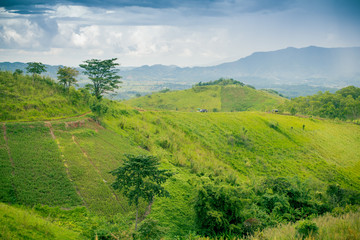 Panorama landscape of  green mountain