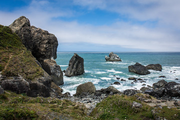 View of the Pacific Ocean at Patrick's Point State Park near Trinidad, California