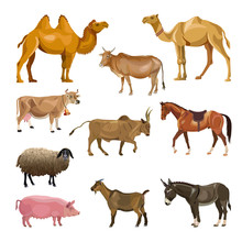 Set Of Farm Animals