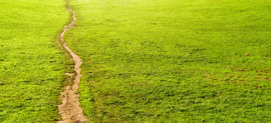 Poster - trail on park with grass and copy space