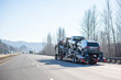 © vit - Big rig car hauler semi truck transporting cars on wide divided highway with winter naked trees