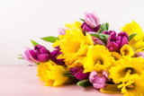 Fototapeta Tulipany - Beautiful Bunch of Tulips and yellow Daffodils on the Pink Backg