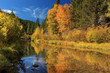 Autumn Along The Susan River
