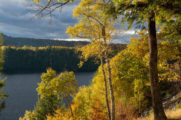 Poster - New England Fall