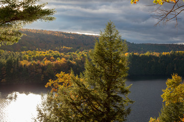 Wall Mural - New England Fall