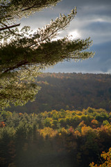 Canvas Print - New England Fall