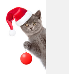 Cat in red santa hat with Christmas tree toy. Isolated on white background