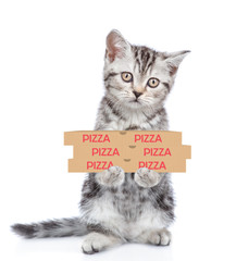 Poster - Cat with pizza boxes. isolated on white background