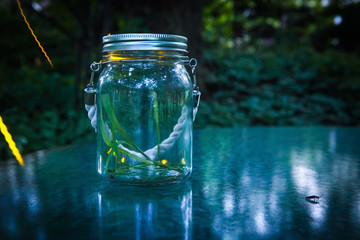 Fireflies in a jar.