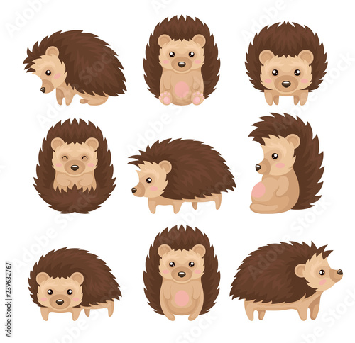 Fotografía Cute hedgehog in various poses set, prickly animal cartoon character with funny