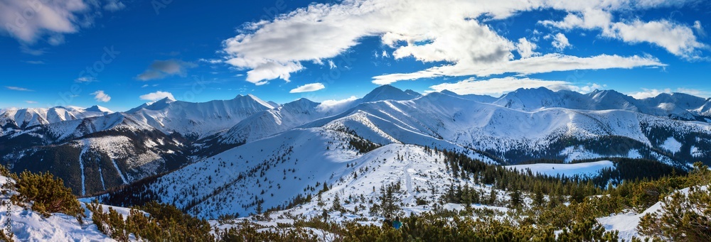 Obraz Zimowa panorama Tatr Zachodnich, widok z Grzesia na Wołowiec i okoliczne szczyty fototapeta, plakat