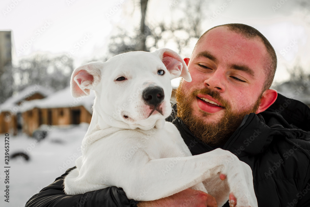 dog pit bull and her friend, her loving master who holds the dog in her arms, hugs and kisses. The dog feels good on the owner's hands