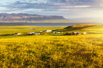 Wall Mural - Countryside life in beautiful place. Rural northern landscape with farm houses, field of yellow flowers, mountain, wide green meadows, river and sea coastline in warm sunny summer evening