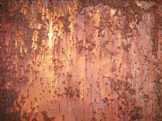 Wall Mural - rusty metal background