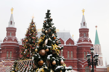 Wall Mural - New Year celebration in Russia, Christmas trees against the Moscow Kremlin. Russian winter holidays, festive decorations during snowfall, cold weather