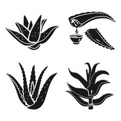 Poster - Aloe vera icon set. Simple set of aloe vera vector icons for web design on white background
