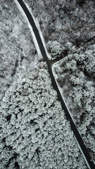 Wall Mural - Aerial view of snow covered road in winter forest