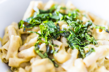 Macro closeup of homemade penne pasta with creamy sauce and fresh cut chopped aromatic basil leaves