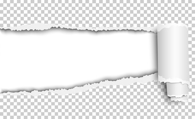 Wall Mural - Vector oblong torn hole in transparent sheet of paper with paper curl. White resulting background. Paper mock up.