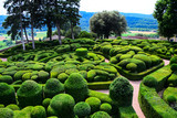 Fototapeta Boho - The topiary art of the magnifcent gardens of the Chateau de Marqueyssac near Vezac in the Dordogne region of France