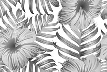 Black White Exotic Pattern.
